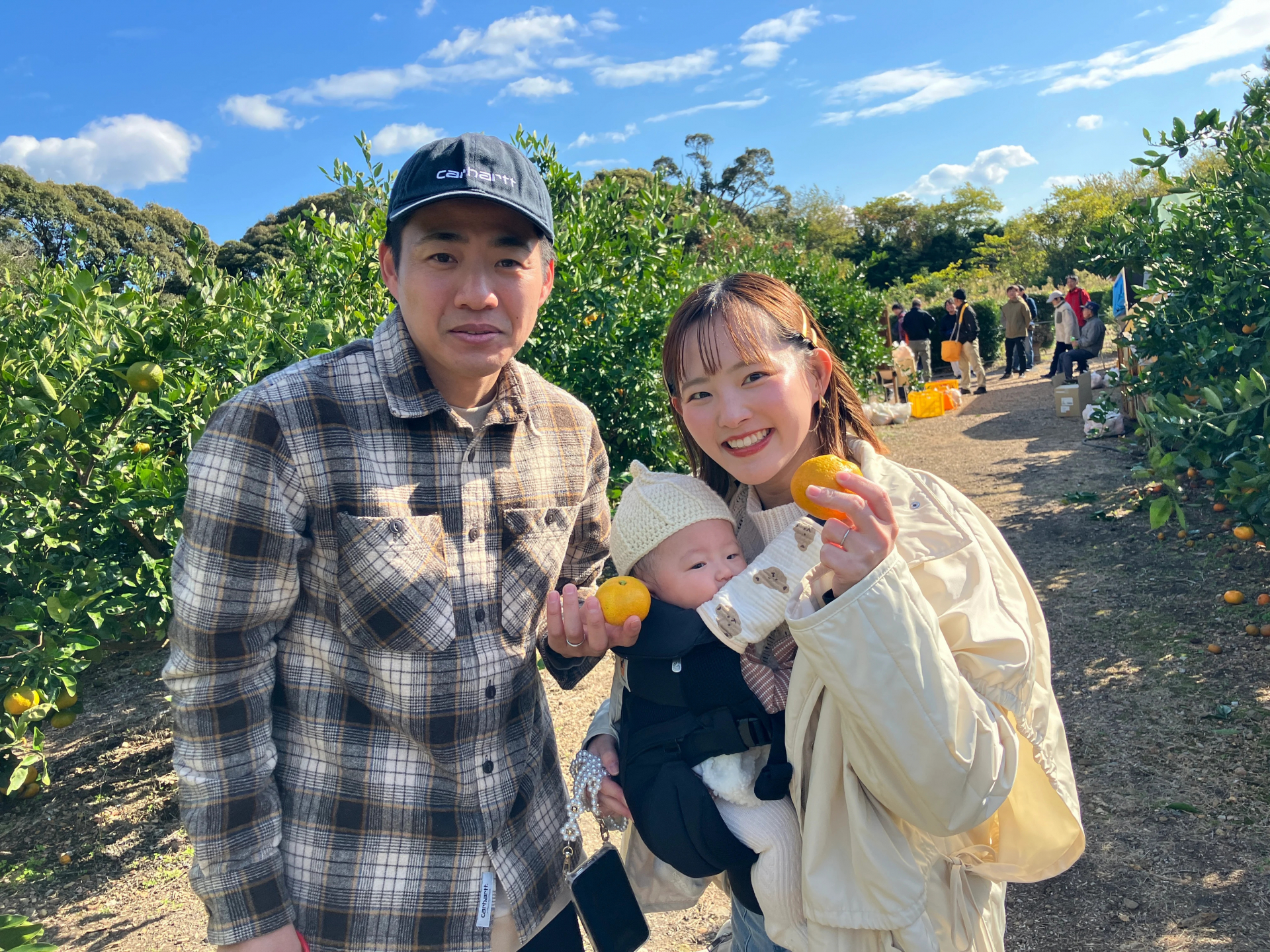みかん狩りの様子